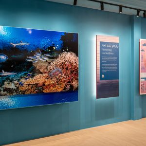 Learn, Explore, Discover! A Look at the Marine Discovery Centre and Maldives Discovery Centre at CROSSROADS Maldives