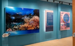 Learn, Explore, Discover! A Look at the Marine Discovery Centre and Maldives Discovery Centre at CROSSROADS Maldives