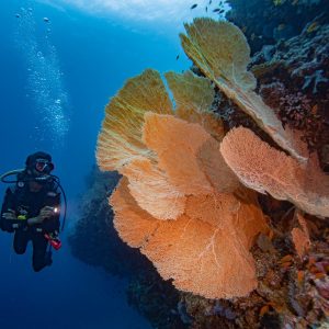 Discover Treasures and Exceptional Adventures During Your Stay at Mövenpick Resort Kuredhivaru Maldives!