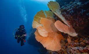 Discover Treasures and Exceptional Adventures During Your Stay at Mövenpick Resort Kuredhivaru Maldives!