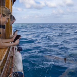 Top 5 Experiences You Can’t Miss from Adaaran Resorts