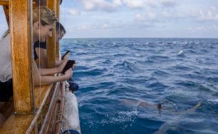 Top 5 Experiences You Can’t Miss from Adaaran Resorts