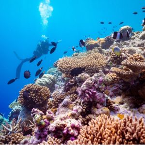 Excursions That Will Add Zest to Your Stay at Baglioni Resort Maldives!