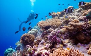 Excursions That Will Add Zest to Your Stay at Baglioni Resort Maldives!