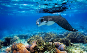 Boundless Adventures & Awe-Inspiring Moments at Furaveri Maldives