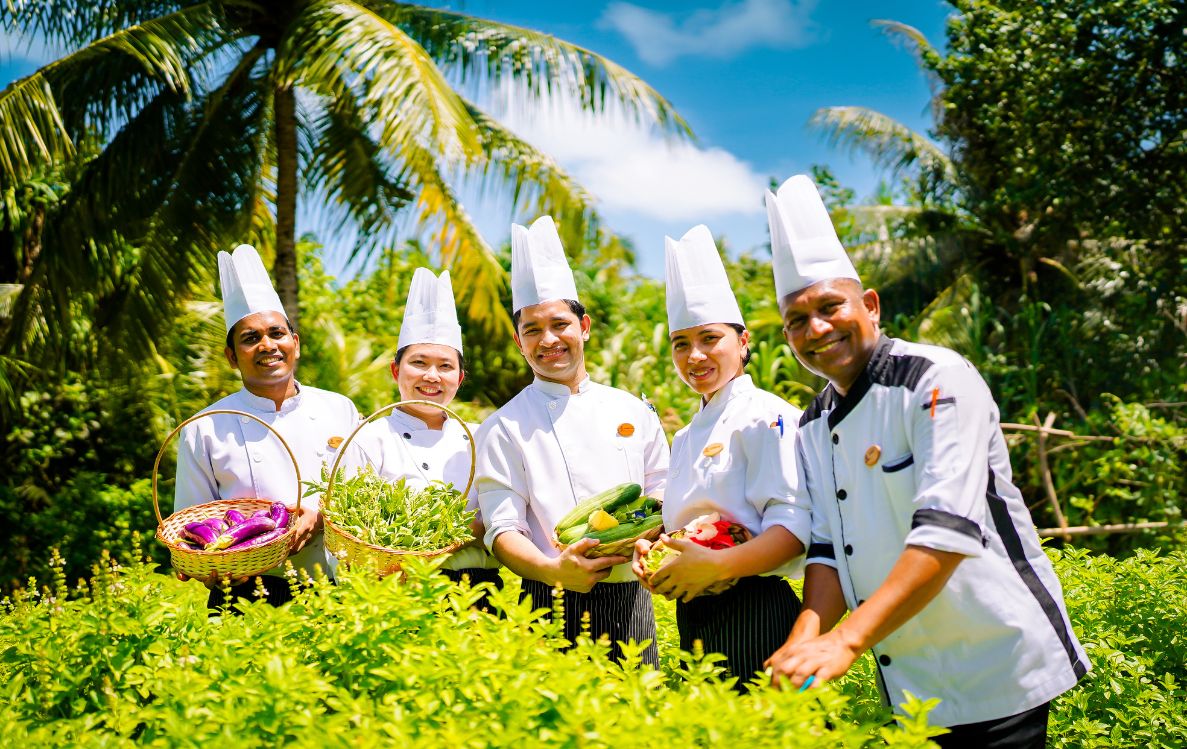 Discover a Fresh Organic Experience at Coco Palm Dhuni Kolhu