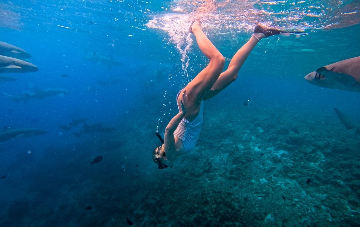 Find Your Authentic Island Paradise at Fihalhohi Maldives