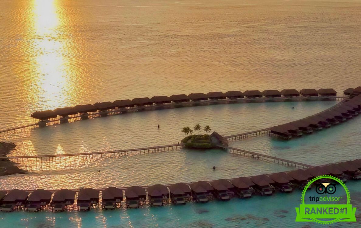 Ayada Maldives Earns Top Traveller Ratings on TripAdvisor