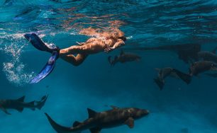 Sun Siyam Vilu Reef Maldives Enhances Its Ocean Experiences with New Private Marine Adventures