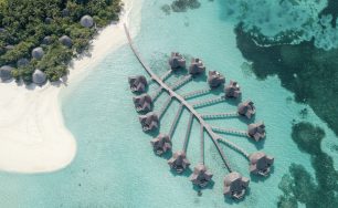 Empowering Island Voices: International Women’s Day at Coco Collection