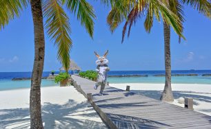 Island Serenity and Golden Moments: Easter with Coco Collection