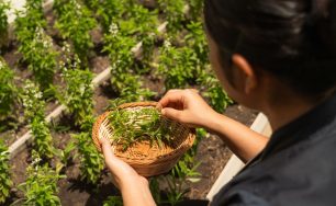Sun Siyam Vilu Reef Brings Earth Day to Life Through Community and Conservation
