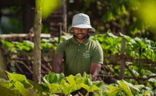 Atmosphere Core Unveils 2025 Core Impact Report Showcasing Sustainability Achievements