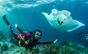 Ocean Discovery Week Returns to the Nautilus Maldives with Award-Winning Underwater Photographer Tobias Friedrich and Family