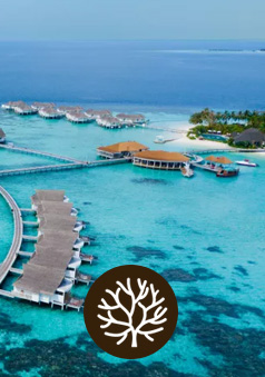 Machchafushi Island Resort and Spa, The Centara Collection