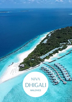Niva Dhigali Maldives