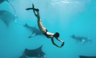 Now Is The Time: Manta Ray Encounters Await at The Standard, Maldives