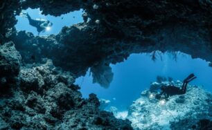 Explore the Maldives’ Underwater Wonders with COMO Cocoa Island