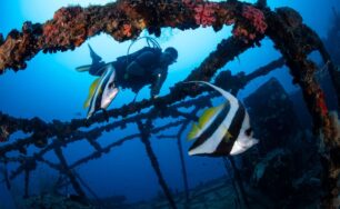 Dive Free in the Maldives: Holiday Inn Resort Kandooma Maldives Unlocks Access to Top South Malé Atoll Dive Sites