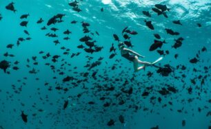 Discover Ocean-Inspired Wellness Journeys at Finolhu, a Seaside Collection Resort