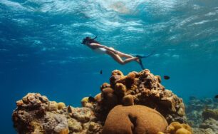 Intercontinental Maldives Maamunugau Resort Celebrates World Reef Day, World Environment Day and World Oceans Day 2026