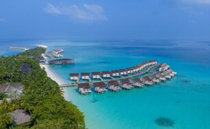 A Rare Sighting: Green Turtles Nest and Hatch on Niva Kuramathi Maldives’ Beach