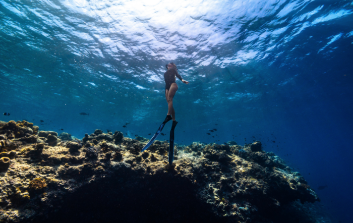 From House Reef To Whale Sharks: The Maldives Beneath The Surface at Sun Siyam Iru Veli