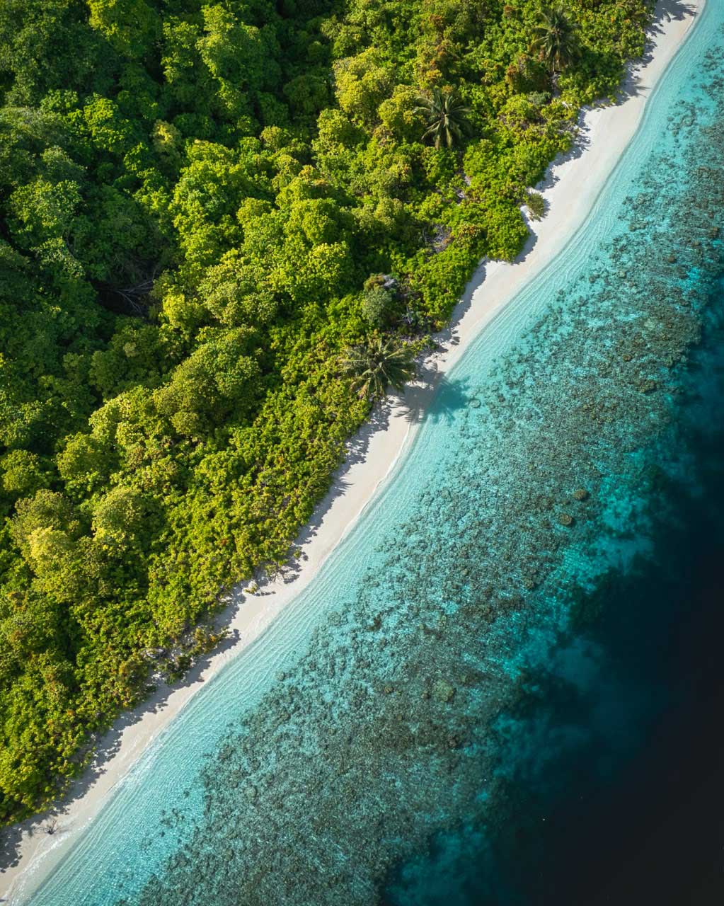 Aerial of a Maldivian Island